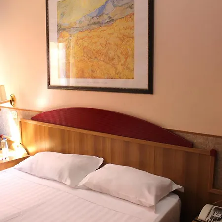 Hotel Ambra Palace 3*